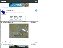 Tablet Screenshot of canariopale.skyrock.com