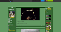Desktop Screenshot of lorenzo-chevaux.skyrock.com