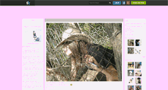 Desktop Screenshot of lust-of-the-ladies.skyrock.com