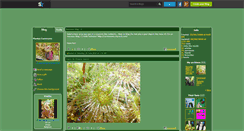 Desktop Screenshot of plantescarnivores0000.skyrock.com