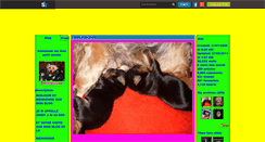 Desktop Screenshot of cindy200617.skyrock.com