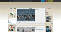 Desktop Screenshot of chasseur-de-canard.skyrock.com