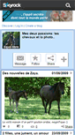 Mobile Screenshot of equii-libre.skyrock.com