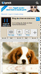 Mobile Screenshot of chien-et-chat-love.skyrock.com