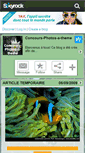 Mobile Screenshot of concours-photos-a-theme.skyrock.com