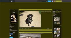 Desktop Screenshot of chien-amstaff.skyrock.com