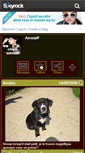 Mobile Screenshot of chien-amstaff.skyrock.com