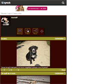 Tablet Screenshot of chien-amstaff.skyrock.com