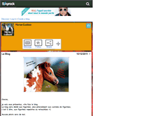 Tablet Screenshot of horse-custom.skyrock.com