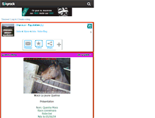 Tablet Screenshot of chevaux-amour-equitation.skyrock.com