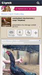 Mobile Screenshot of coq97470.skyrock.com