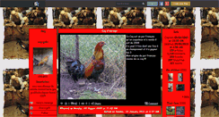 Desktop Screenshot of coq-gallo.skyrock.com