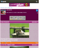 Tablet Screenshot of chatons21310.skyrock.com