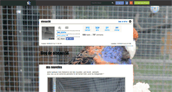 Desktop Screenshot of oiseaux56.skyrock.com