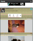 Tablet Screenshot of bordercollie76.skyrock.com