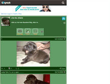 Tablet Screenshot of bbchiens.skyrock.com