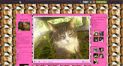 Desktop Screenshot of catsnono.skyrock.com