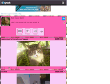 Tablet Screenshot of catsnono.skyrock.com