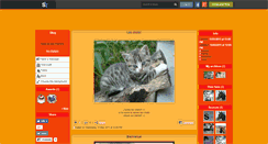 Desktop Screenshot of les-chatons.skyrock.com