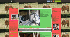 Desktop Screenshot of leschevauxdelasalantine.skyrock.com