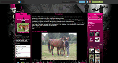 Desktop Screenshot of mode-demploi-cheval.skyrock.com