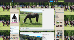 Desktop Screenshot of cheval-sauvetage.skyrock.com