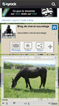 Mobile Screenshot of cheval-sauvetage.skyrock.com