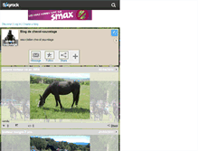 Tablet Screenshot of cheval-sauvetage.skyrock.com