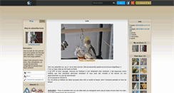 Desktop Screenshot of calopsittes-home.skyrock.com