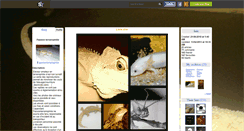 Desktop Screenshot of passionterrariophilie.skyrock.com