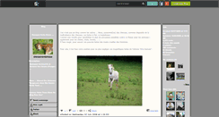 Desktop Screenshot of chevaux-en-detresse.skyrock.com