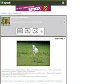 Tablet Screenshot of chevaux-en-detresse.skyrock.com