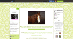 Desktop Screenshot of materiel-equitation80.skyrock.com