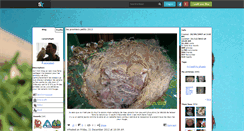 Desktop Screenshot of canaristeph.skyrock.com