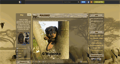 Desktop Screenshot of malenko.skyrock.com