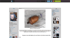 Desktop Screenshot of piercing-art.skyrock.com