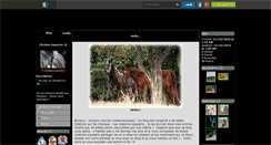 Desktop Screenshot of citation-equestre.skyrock.com