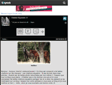 Tablet Screenshot of citation-equestre.skyrock.com