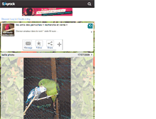 Tablet Screenshot of eleveurs-psittacides.skyrock.com
