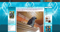 Desktop Screenshot of gris--du--gabon.skyrock.com