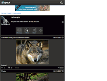 Tablet Screenshot of canislupus87.skyrock.com