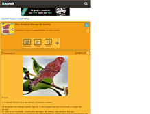 Tablet Screenshot of canarich.skyrock.com