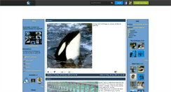 Desktop Screenshot of hommage-orca.skyrock.com