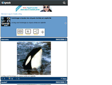 Tablet Screenshot of hommage-orca.skyrock.com