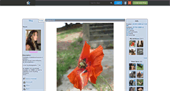 Desktop Screenshot of megapixels.skyrock.com