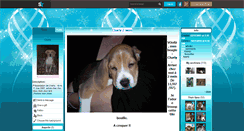 Desktop Screenshot of beagle-charly110507.skyrock.com