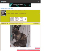 Tablet Screenshot of chatons44.skyrock.com