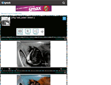 Tablet Screenshot of inda-road.skyrock.com