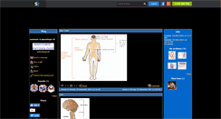 Desktop Screenshot of anat-physio-6p.skyrock.com