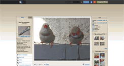 Desktop Screenshot of inseparable-perruche.skyrock.com